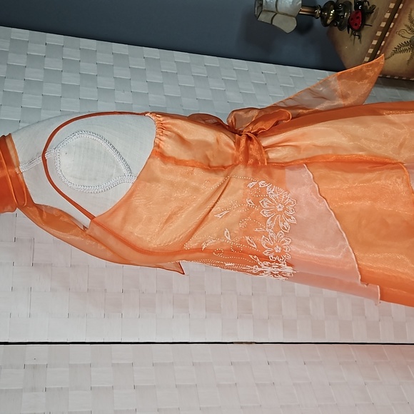 Dress Size 14- Formal Sheer Apricot Color  Embellished Dress - Picture 4 of 8